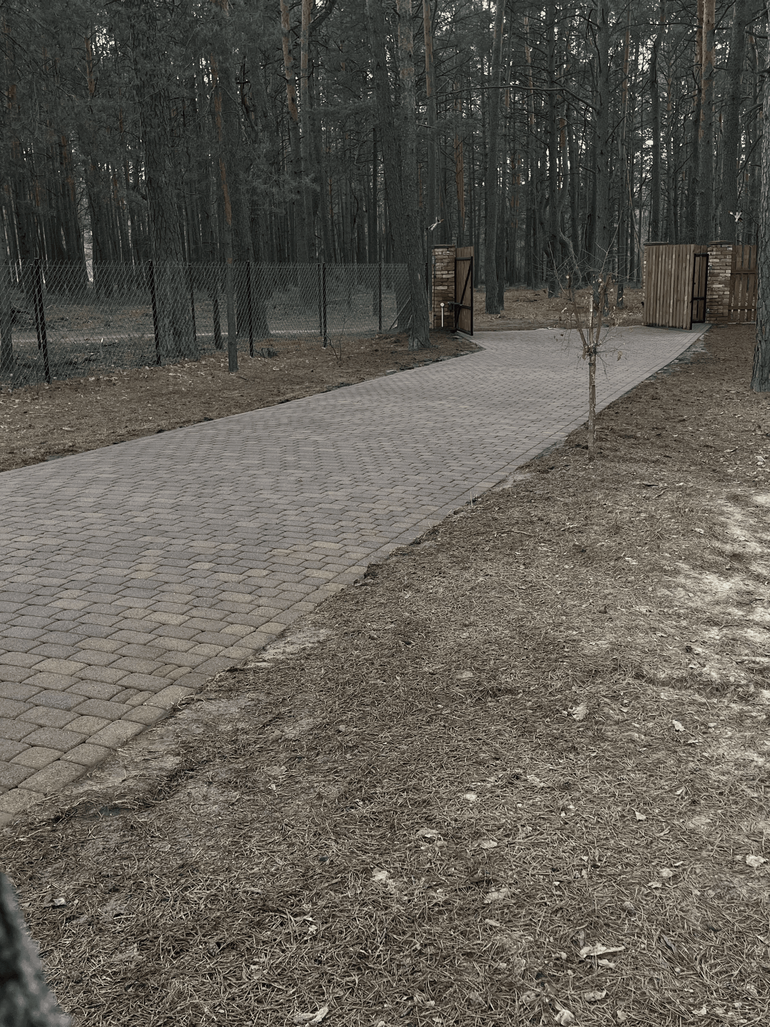 Realizacja PGCLEAN 17