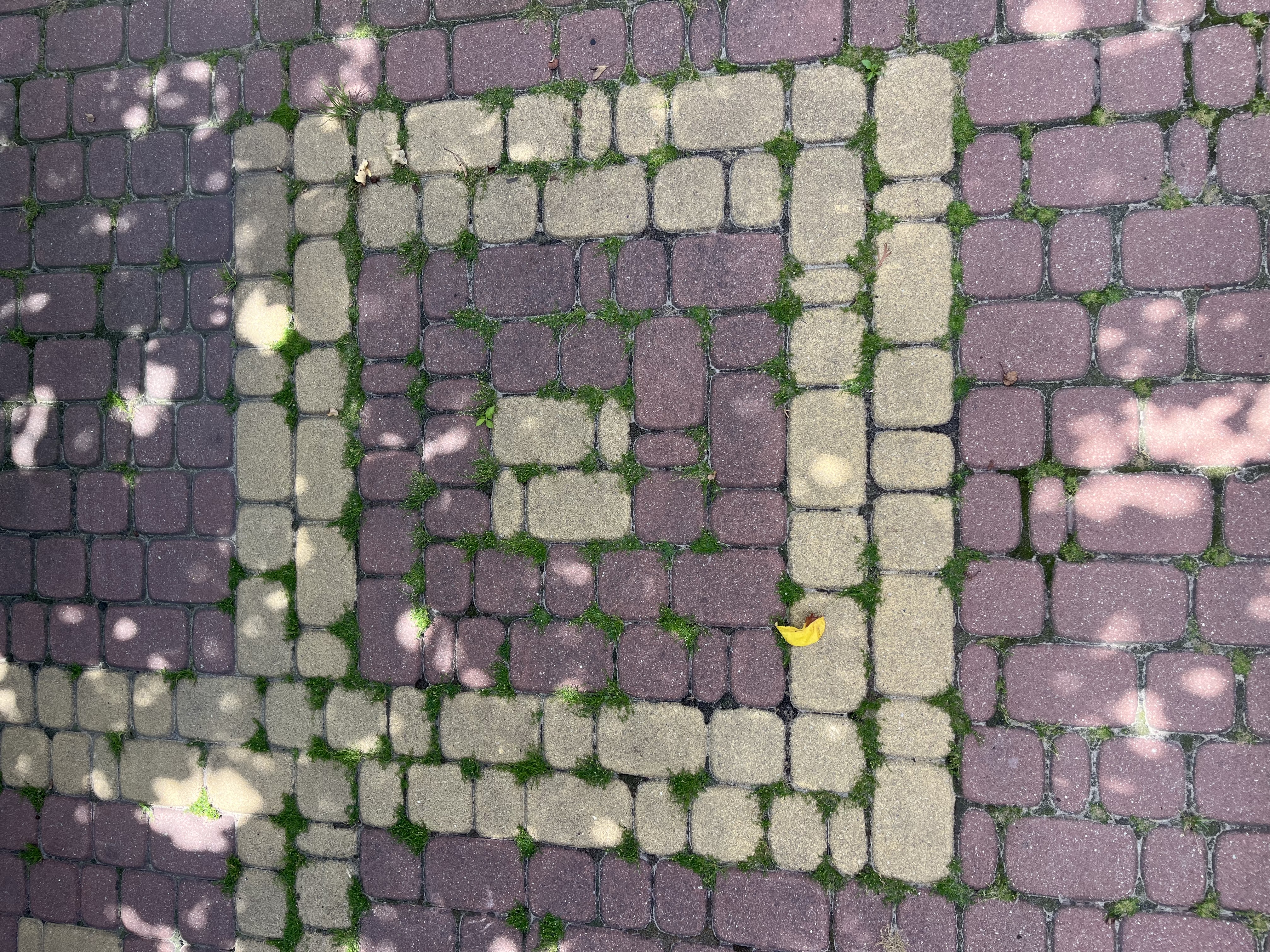Realizacja 4